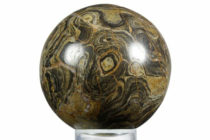 Polished Stromatolite (Greysonia) Sphere - Bolivia #355369